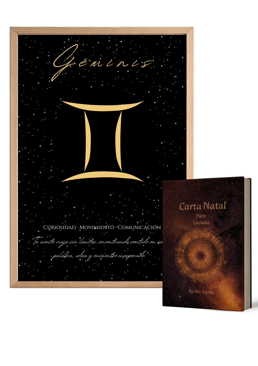 geminis-libro